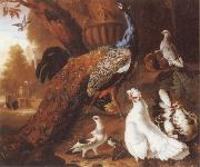 Jakob Bogdani Bird of Paradise painting